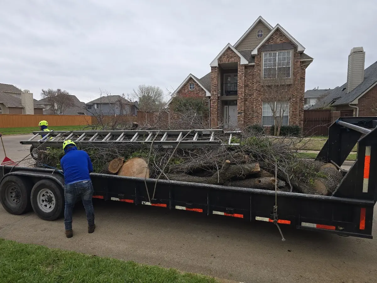 Expert Lot Clearing with proper safety equipment in Addyston